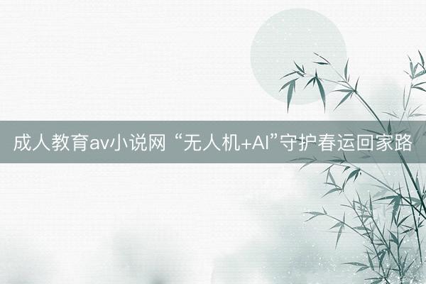 成人教育av小说网 “无人机+AI”守护春运回家路