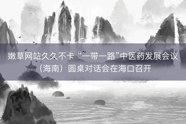 嫩草网站久久不卡 “一带一路”中医药发展会议（海南）圆桌对话会在海口召开