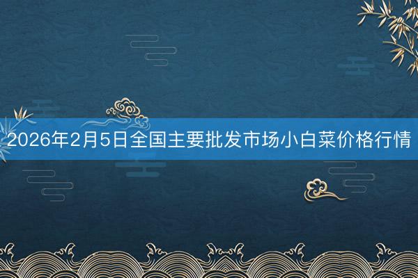 2026年2月5日全国主要批发市场小白菜价格行情