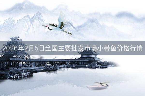 2026年2月5日全国主要批发市场小带鱼价格行情