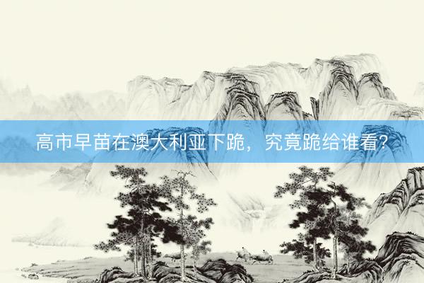 高市早苗在澳大利亚下跪，究竟跪给谁看？