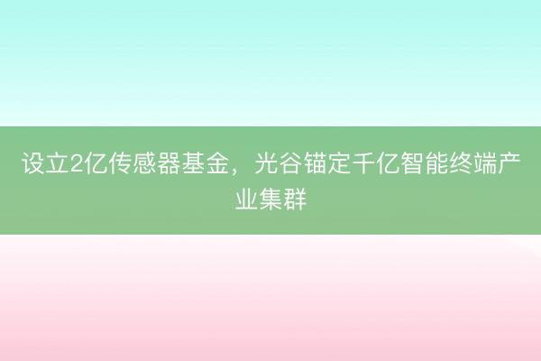设立2亿传感器基金，光谷锚定千亿智能终端产业集群