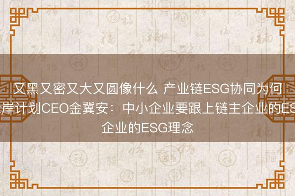 又黑又密又大又圆像什么 产业链ESG协同为何难？绿岸计划CEO金冀安：中小企业要跟上链主企业的ESG理念
