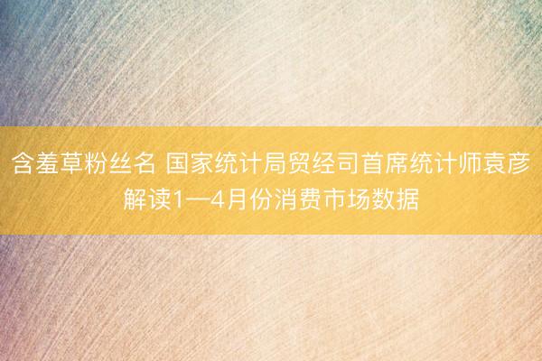 含羞草粉丝名 国家统计局贸经司首席统计师袁彦解读1—4月份消费市场数据