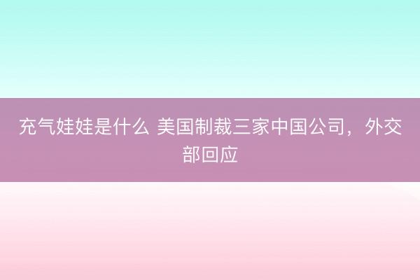 充气娃娃是什么 美国制裁三家中国公司,外交部回应