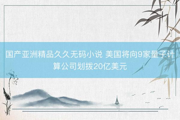 国产亚洲精品久久无码小说 美国将向9家量子计算公司划拨20亿美元