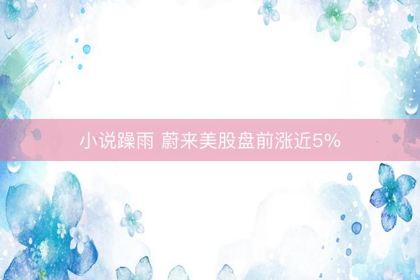 小说躁雨 蔚来美股盘前涨近5%