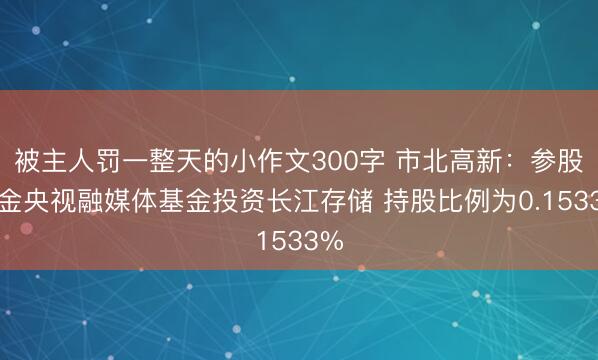被主人罚一整天的小作文300字 市北高新：参股基金央视融媒体基金投资长江存储 持股比例为0.1533%