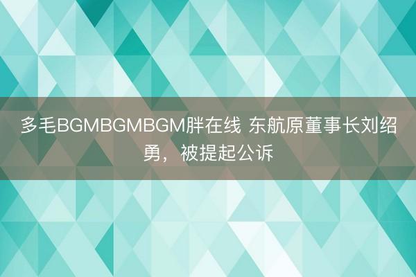 多毛BGMBGMBGM胖在线 东航原董事长刘绍勇，被提起公诉
