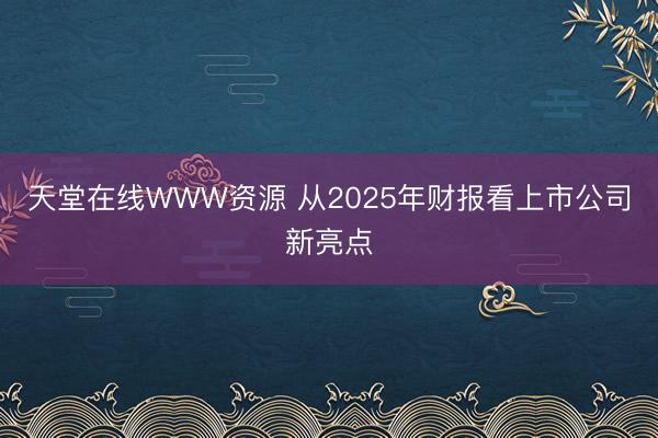 天堂在线WWW资源 从2025年财报看上市公司新亮点
