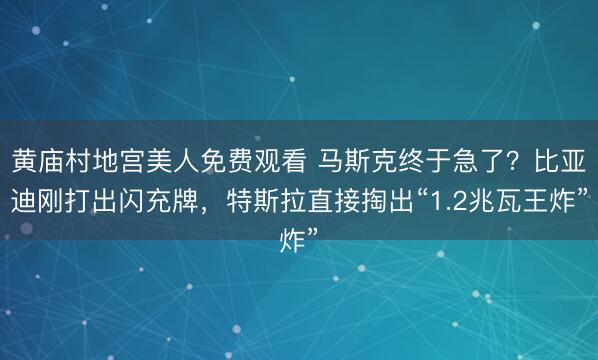 黄庙村地宫美人免费观看 马斯克终于急了？比亚迪刚打出闪充牌，特斯拉直接掏出“1.2兆瓦王炸”