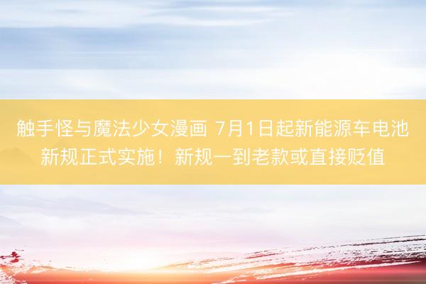 触手怪与魔法少女漫画 7月1日起新能源车电池新规正式实施！新规一到老款或直接贬值