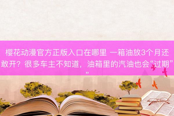 樱花动漫官方正版入口在哪里 一箱油放3个月还敢开？很多车主不知道，油箱里的汽油也会“过期”