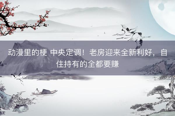 动漫里的梗 中央定调！老房迎来全新利好，自住持有的全都要赚