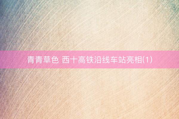 青青草色 西十高铁沿线车站亮相(1)