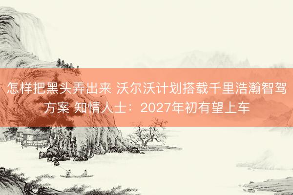 怎样把黑头弄出来 沃尔沃计划搭载千里浩瀚智驾方案 知情人士：2027年初有望上车