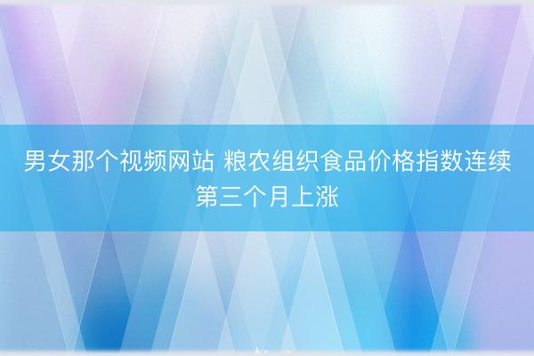 男女那个视频网站 粮农组织食品价格指数连续第三个月上涨