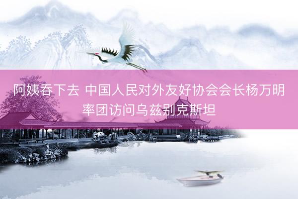 阿姨吞下去 中国人民对外友好协会会长杨万明率团访问乌兹别克斯坦