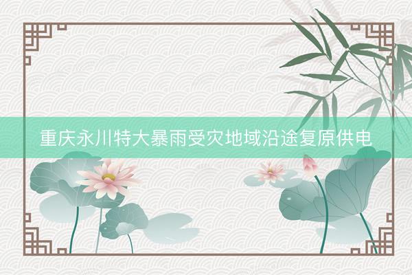 重庆永川特大暴雨受灾地域沿途复原供电