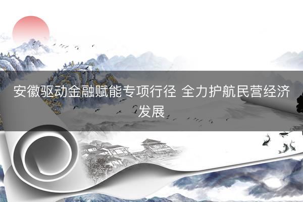 安徽驱动金融赋能专项行径 全力护航民营经济发展