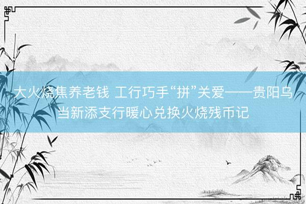 大火烧焦养老钱 工行巧手“拼”关爱——贵阳乌当新添支行暖心兑换火烧残币记