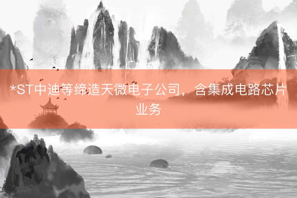 *ST中迪等缔造天微电子公司，含集成电路芯片业务