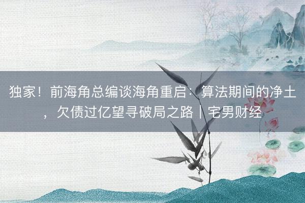 独家！前海角总编谈海角重启：算法期间的净土，欠债过亿望寻破局之路｜宅男财经