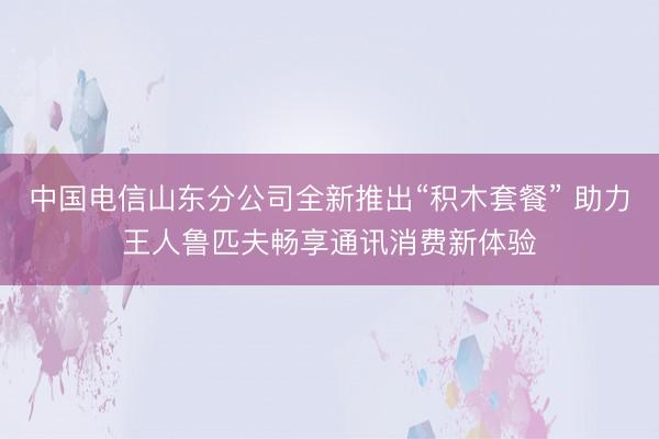 中国电信山东分公司全新推出“积木套餐” 助力王人鲁匹夫畅享通讯消费新体验