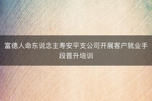 富德人命东说念主寿安平支公司开展客户就业手段晋升培训