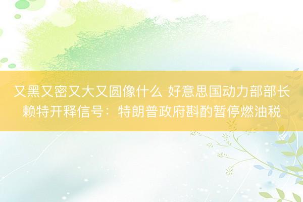 又黑又密又大又圆像什么 好意思国动力部部长赖特开释信号：特朗普政府斟酌暂停燃油税