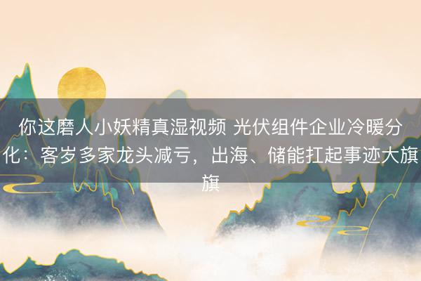 你这磨人小妖精真湿视频 光伏组件企业冷暖分化：客岁多家龙头减亏，出海、储能扛起事迹大旗