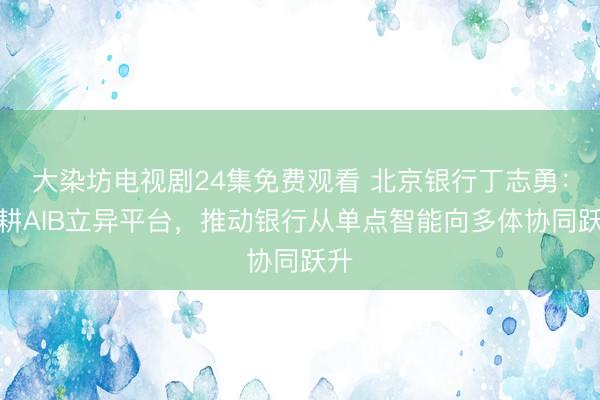 大染坊电视剧24集免费观看 北京银行丁志勇：深耕AIB立异平台，推动银行从单点智能向多体协同跃升