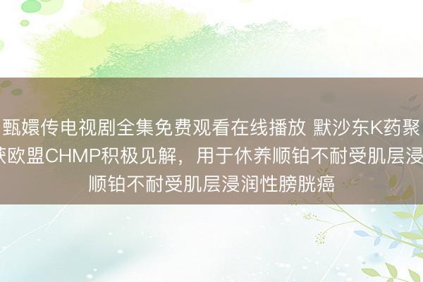 甄嬛传电视剧全集免费观看在线播放 默沙东K药聚首Padcev获欧盟CHMP积极见解，用于休养顺铂不耐受肌层浸润性膀胱癌