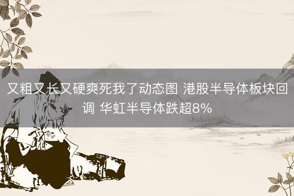又粗又长又硬爽死我了动态图 港股半导体板块回调 华虹半导体跌超8%