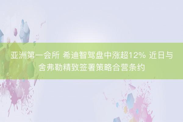 亚洲第一会所 希迪智驾盘中涨超12% 近日与舍弗勒精致签署策略合营条约
