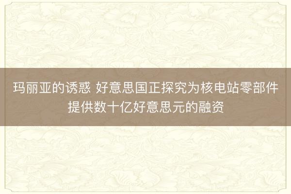玛丽亚的诱惑 好意思国正探究为核电站零部件提供数十亿好意思元的融资