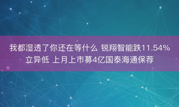 我都湿透了你还在等什么 锐翔智能跌11.54%立异低 上月上市募4亿国泰海通保荐