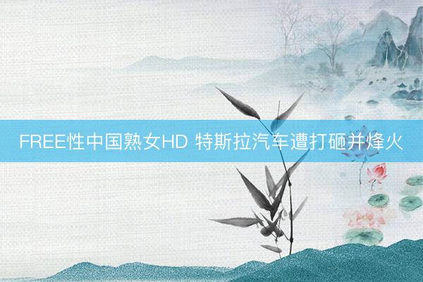 FREE性中国熟女HD 特斯拉汽车遭打砸并烽火